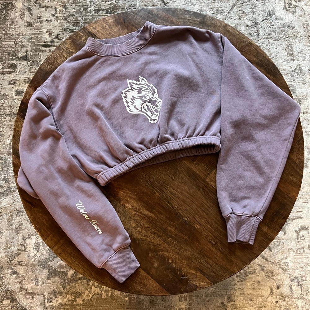 Darc Sport Crop Sweat Shirt